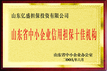 担保十佳.jpg