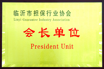 临沂市担保行业会长单位.jpg