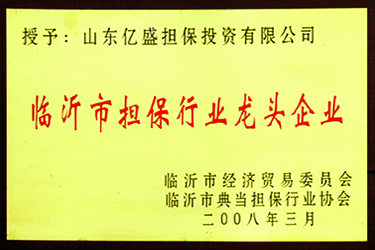 临沂市担保行业龙头企业.jpg
