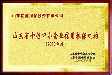 2010年度全省十佳信用担保机构.jpg