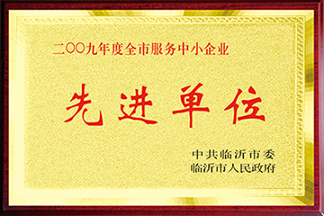 09年先进单位.jpg
