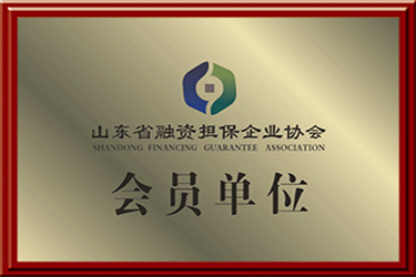 山东省融资担保企业协会会员单位.jpg
